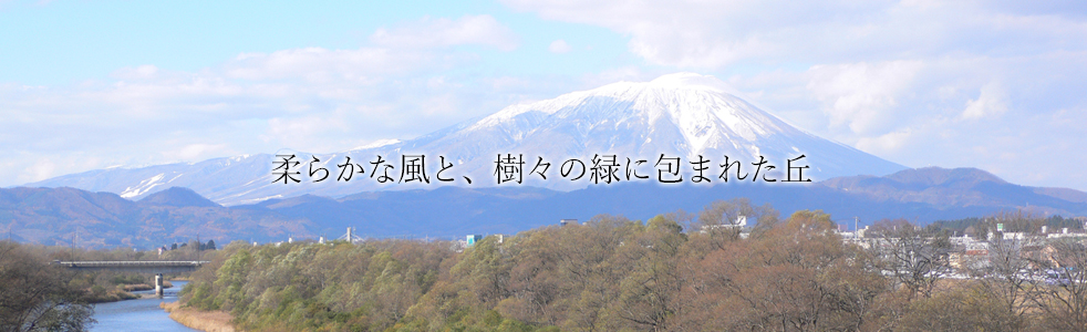 柔らかな風と、樹々の緑に包まれた丘